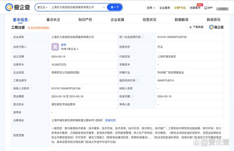 6亿元战略布局 上海软件技术公司成立能源服务公司的深度解读